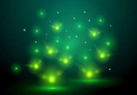 The Return of Firefly Season